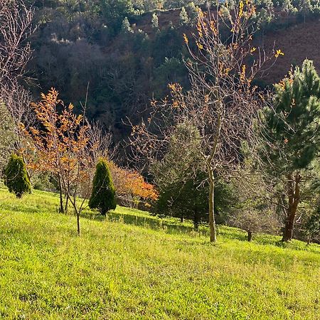 Finca Portizuelo Luarca Kültér fotó
