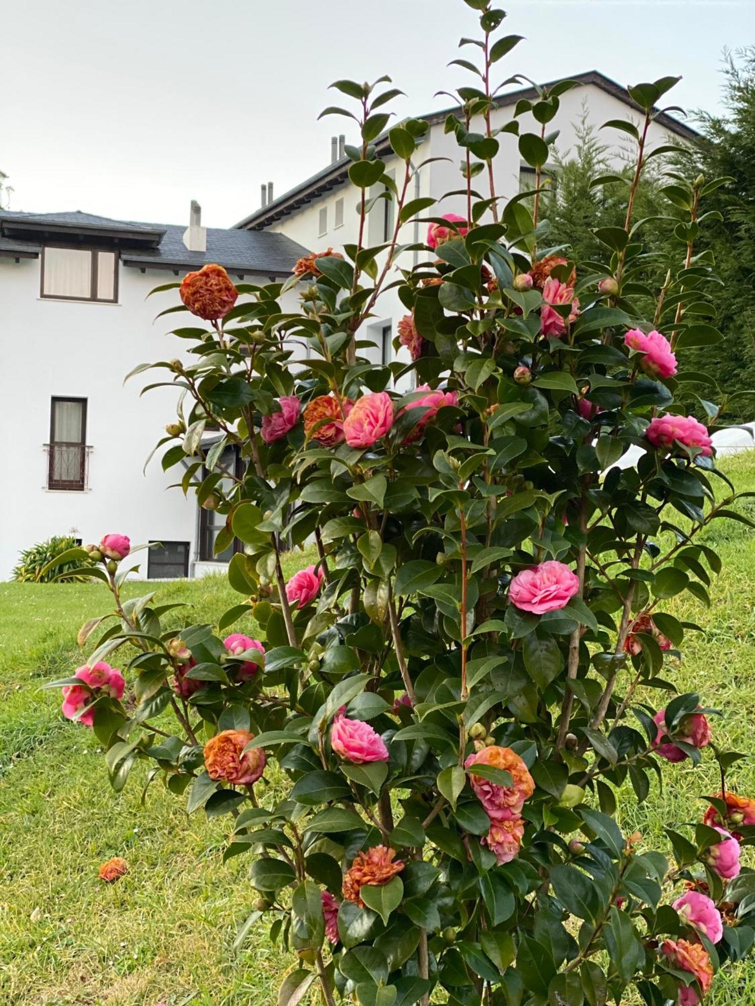 Finca Portizuelo Luarca Kültér fotó