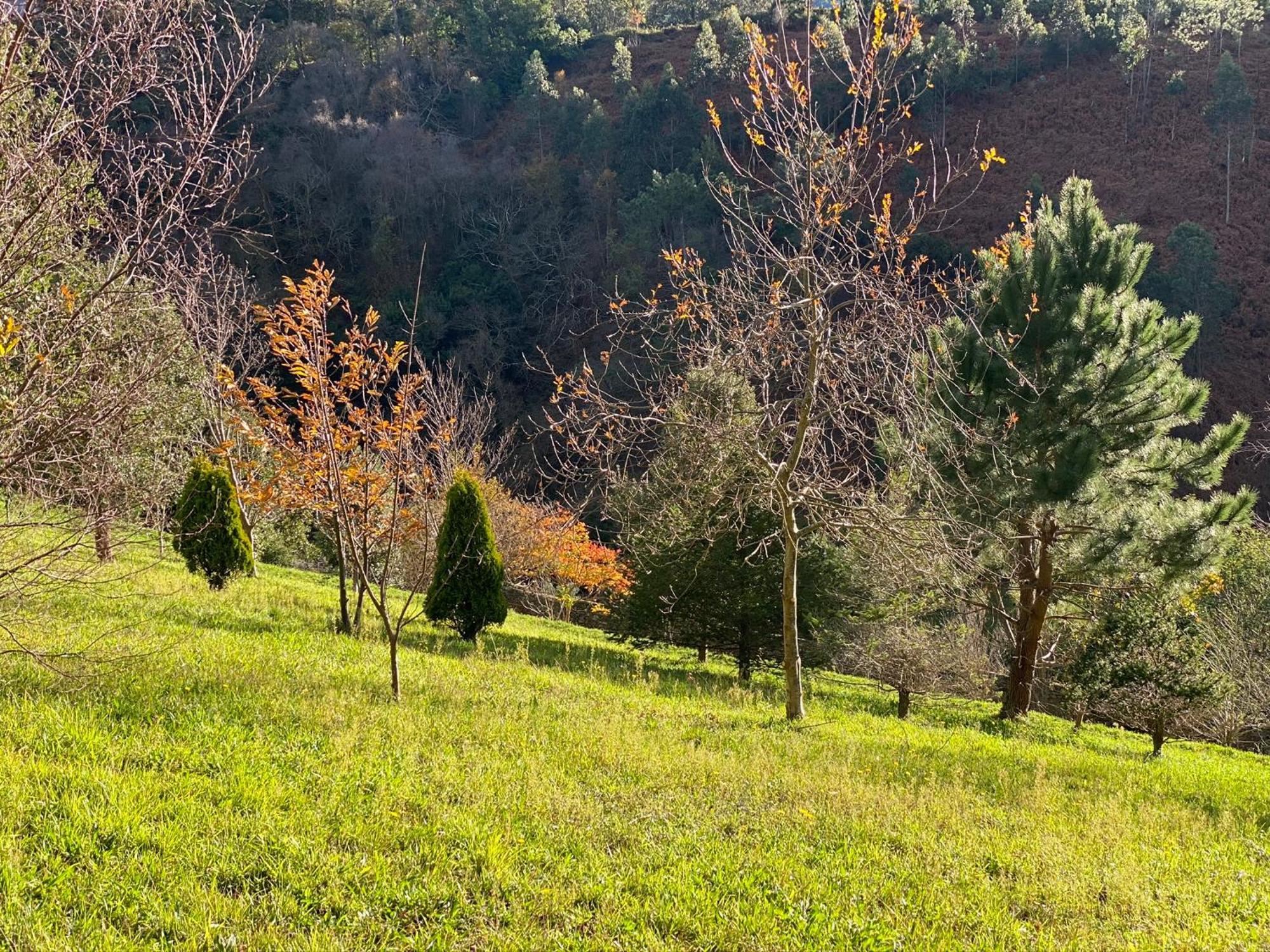 Finca Portizuelo Luarca Kültér fotó