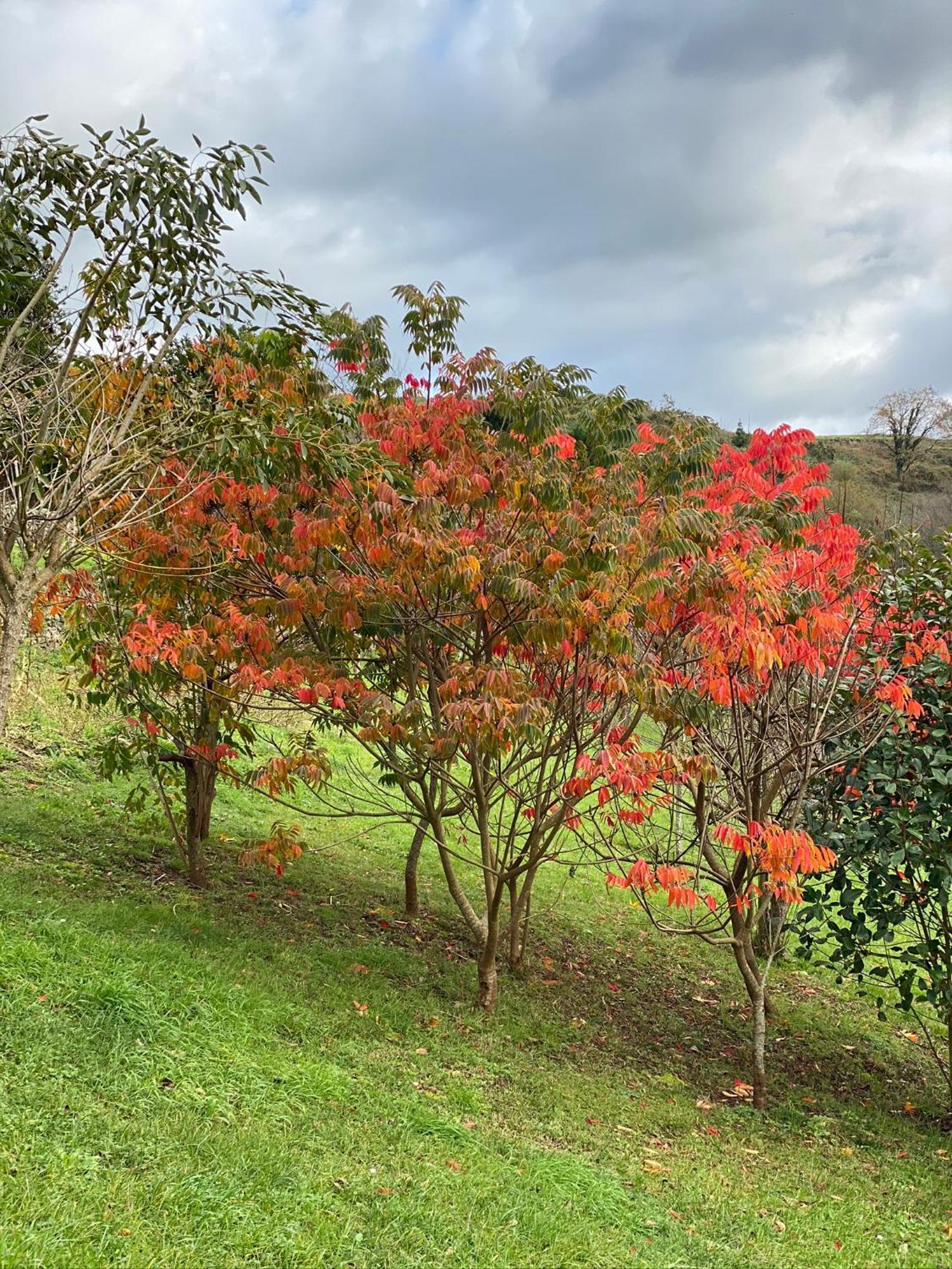 Finca Portizuelo Luarca Kültér fotó
