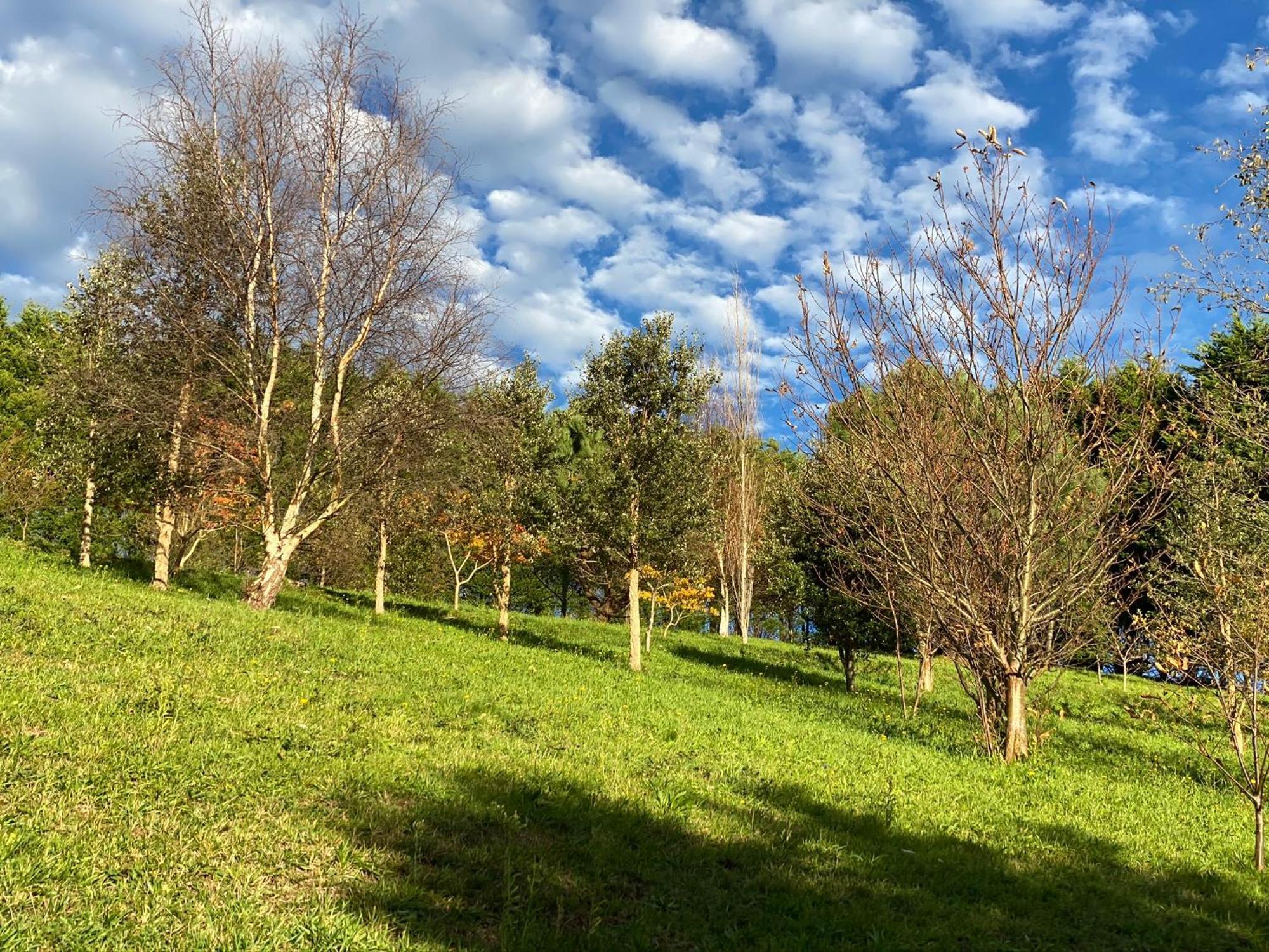 Finca Portizuelo Luarca Kültér fotó