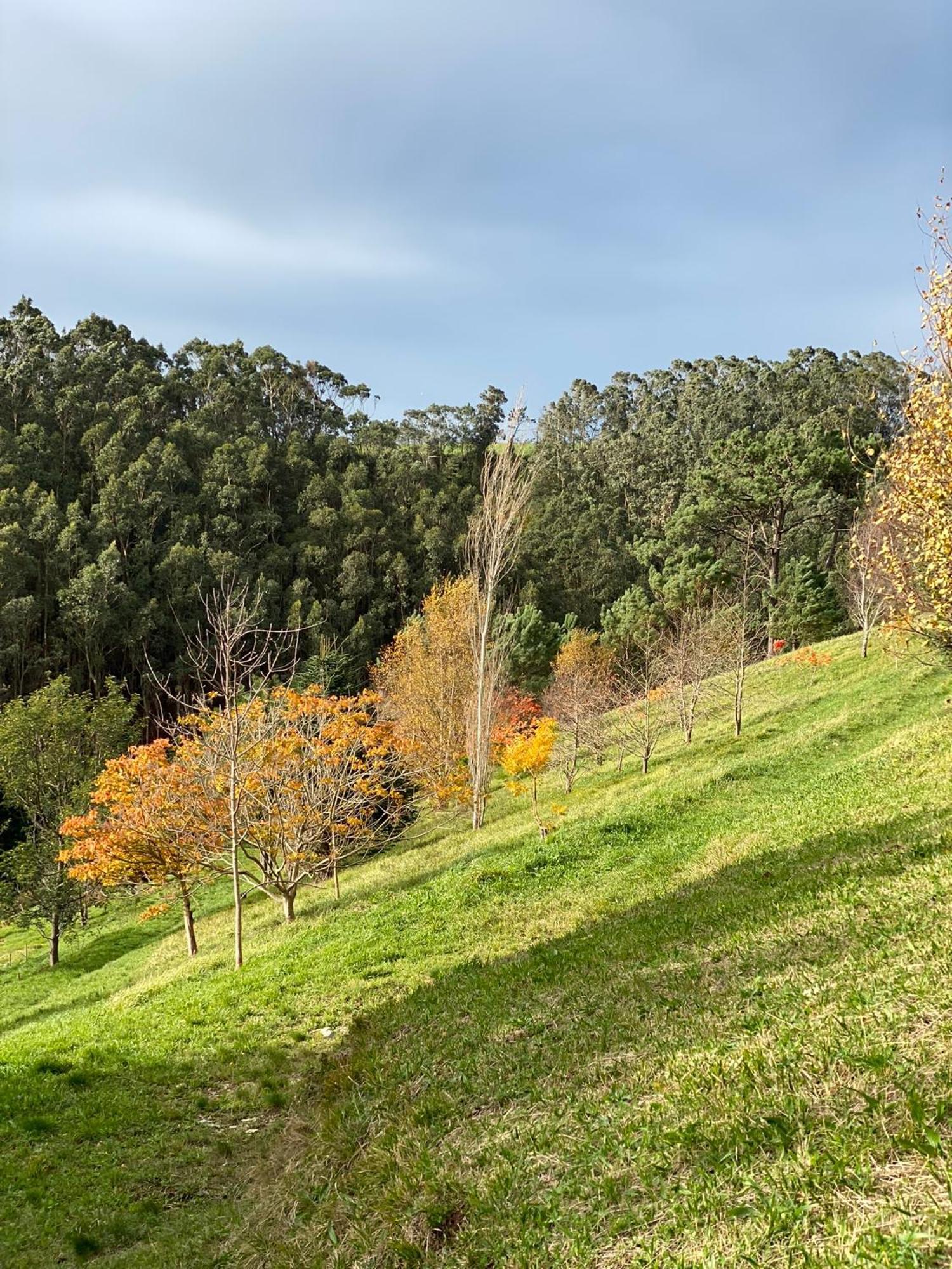 Finca Portizuelo Luarca Kültér fotó