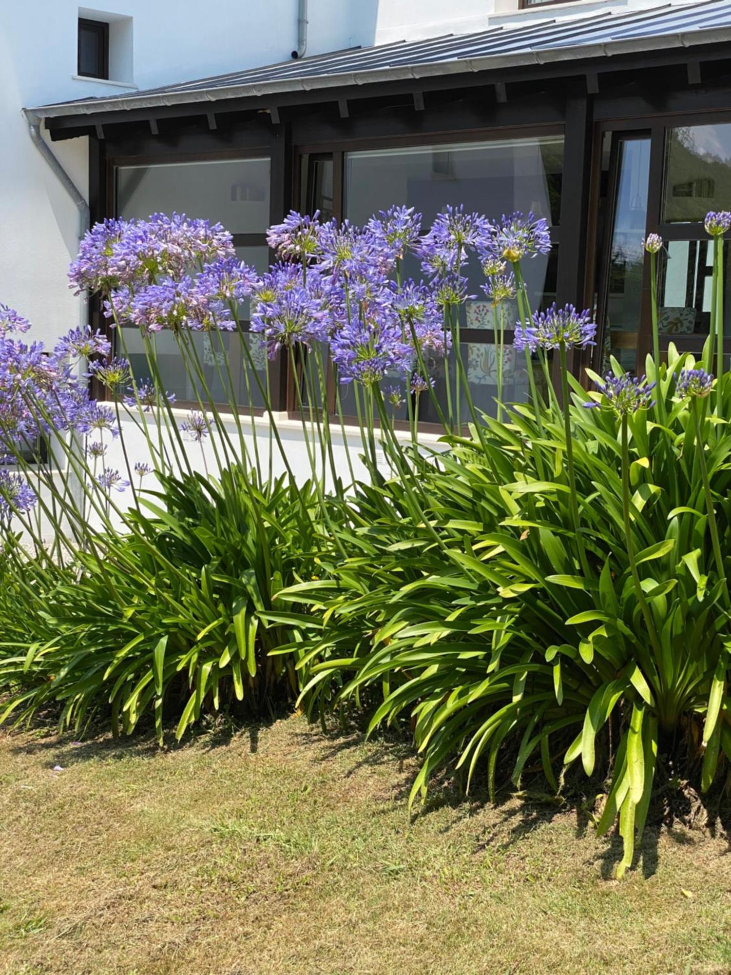 Finca Portizuelo Luarca Kültér fotó