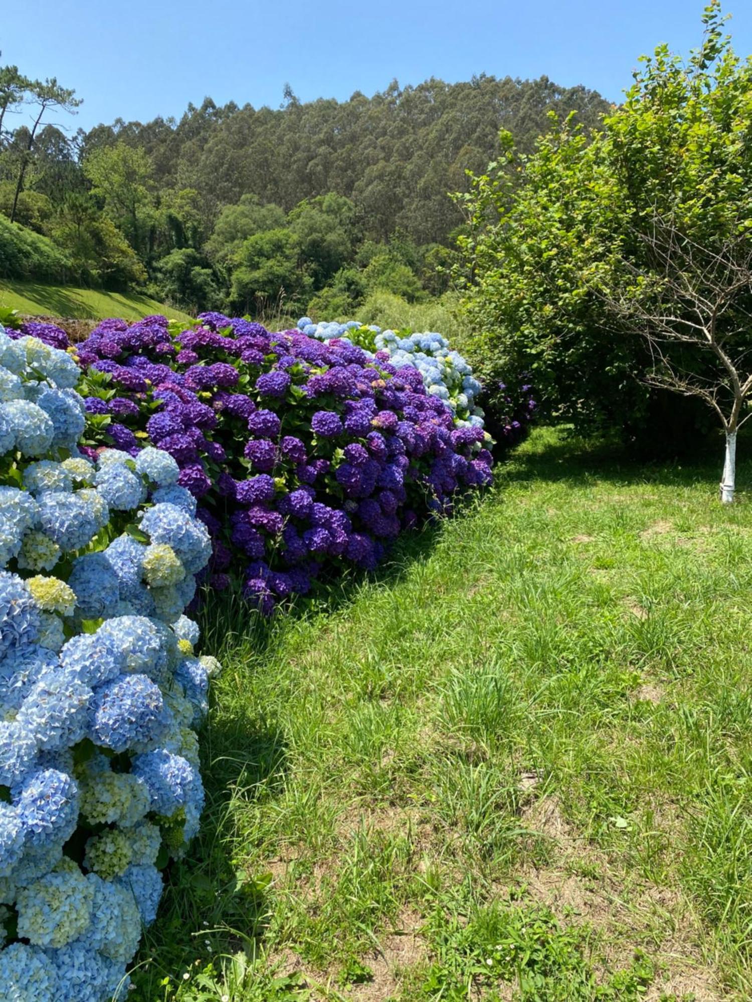 Finca Portizuelo Luarca Kültér fotó
