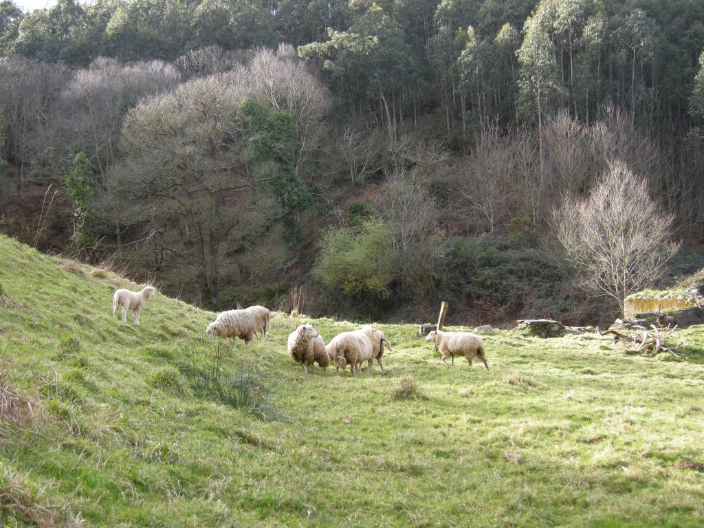 Finca Portizuelo Luarca Kültér fotó