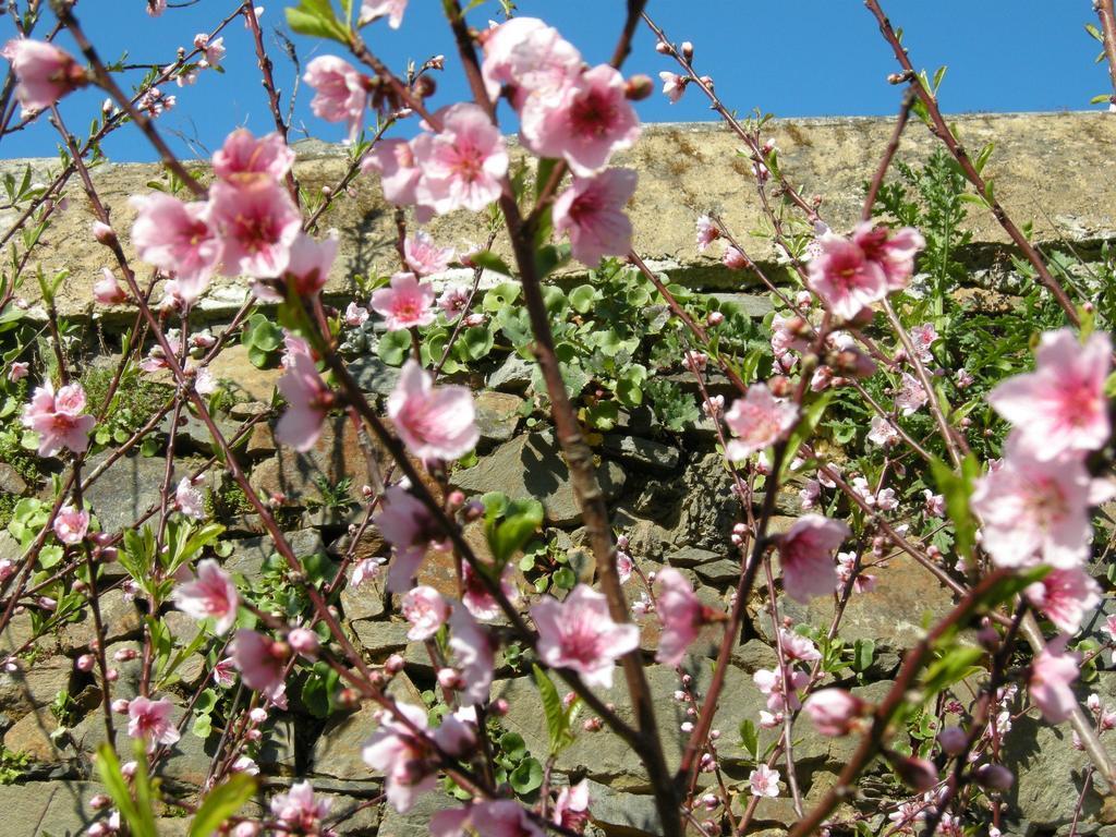 Finca Portizuelo Luarca Kültér fotó