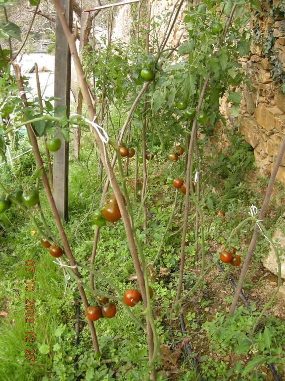 Finca Portizuelo Luarca Kültér fotó