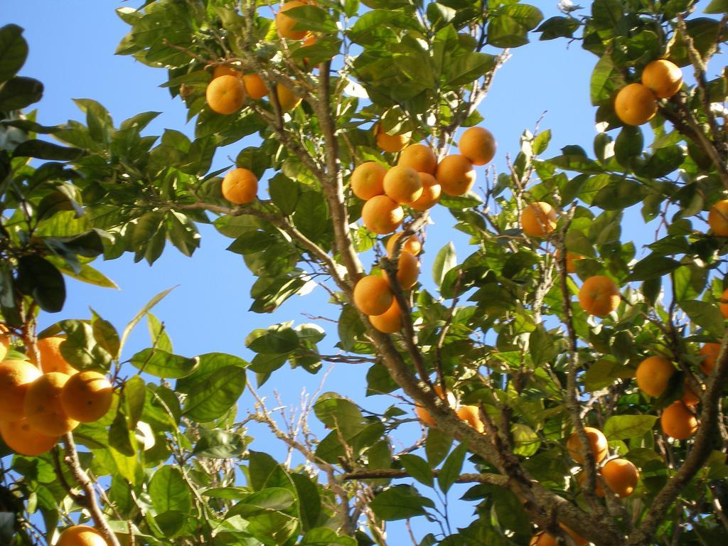 Finca Portizuelo Luarca Kültér fotó